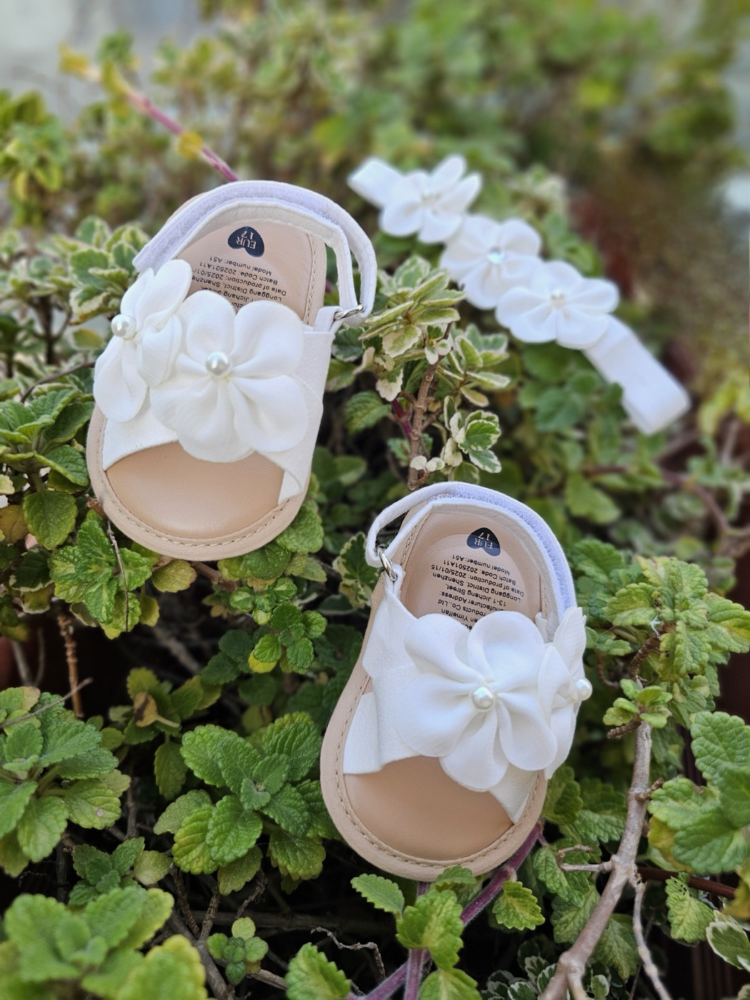 The white petals kiss sandals 