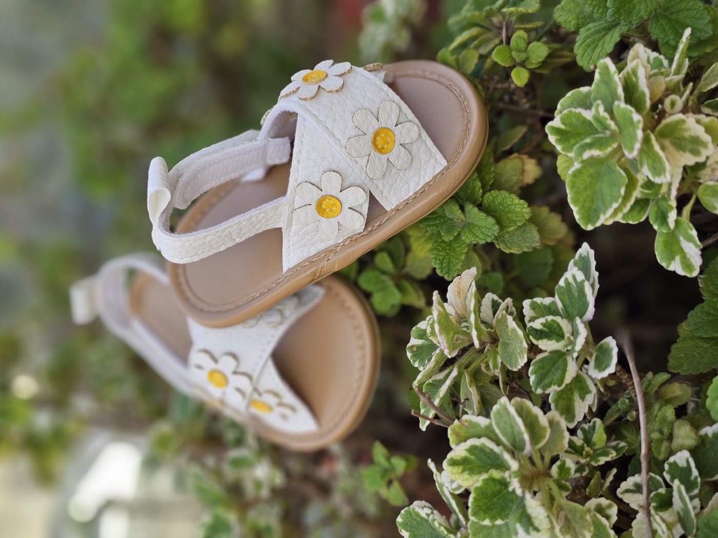 The Daisy Bloom sandals 