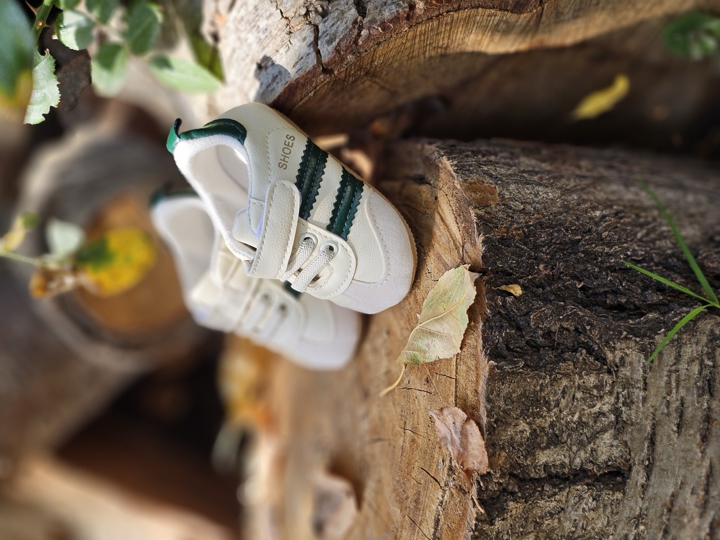 The SandStone sneakers 