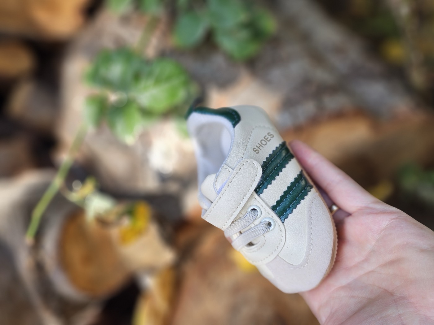 The SandStone sneakers 