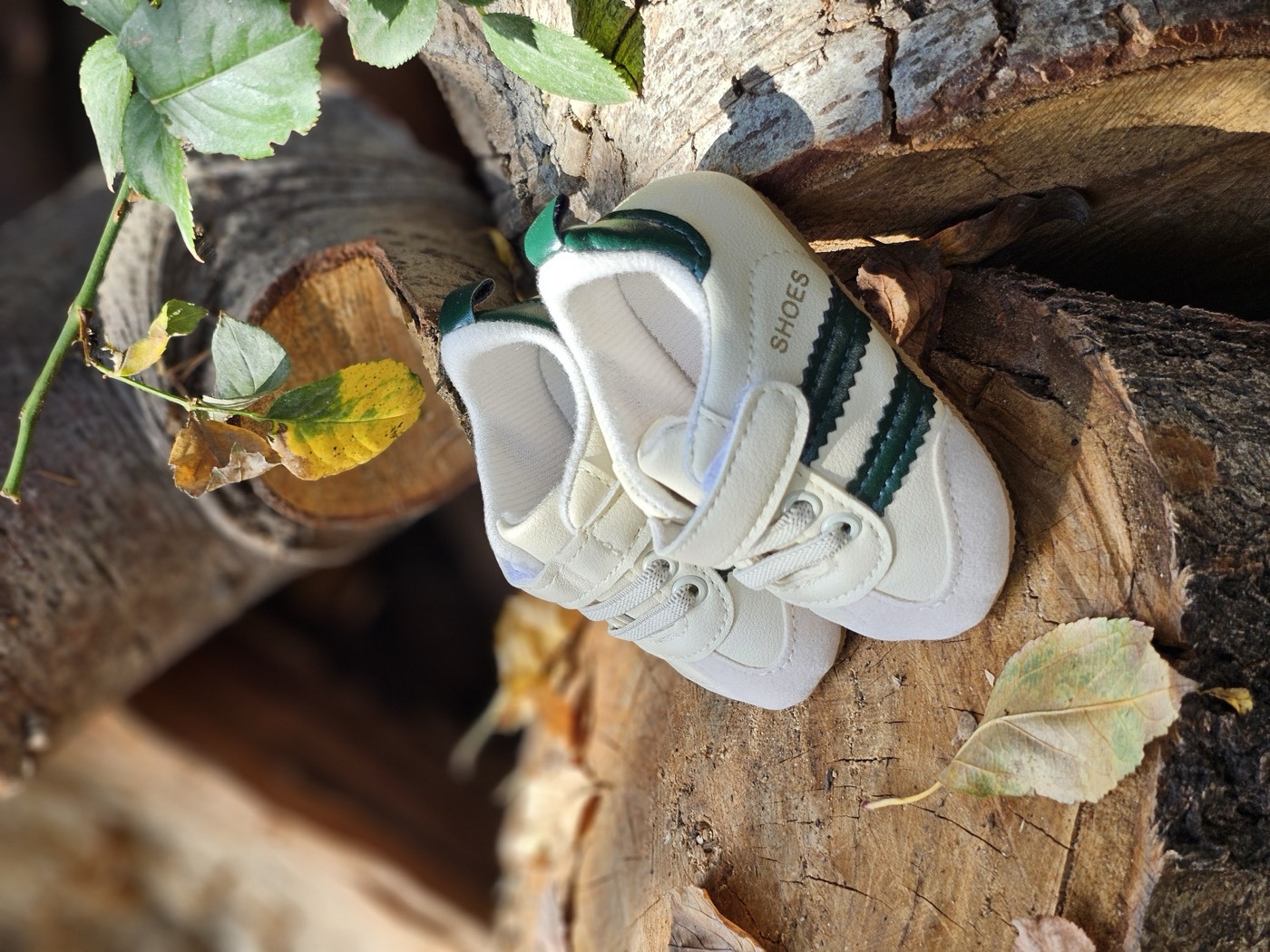 The SandStone sneakers 